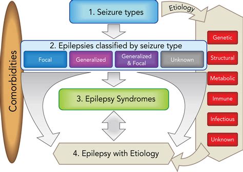 ilae diagnosis of epilepsy.